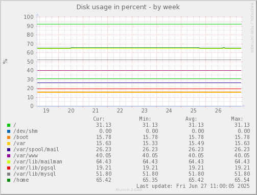 Disk usage in percent
